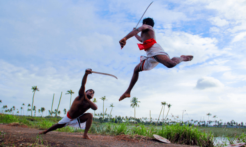 Kalaripayattu Martial Arts in Thekkady: Kerala's Ancient Combat Tradition