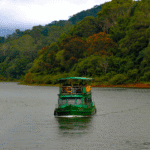 Periyar Boat Safari in Thekkady: A Complete Wildlife Guide