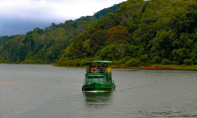 Periyar Boat Safari in Thekkady: A Complete Wildlife Guide