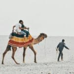 A Feel Good Solo Trip to Gujarat and Daman