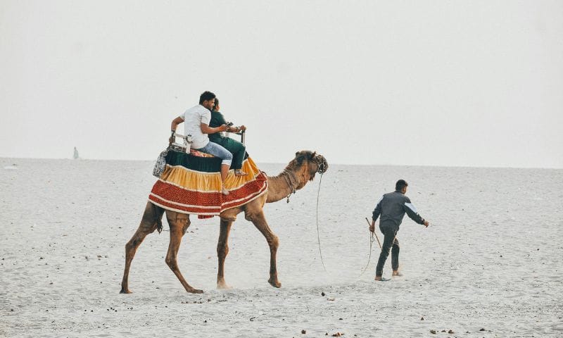 A Feel Good Solo Trip to Gujarat and Daman