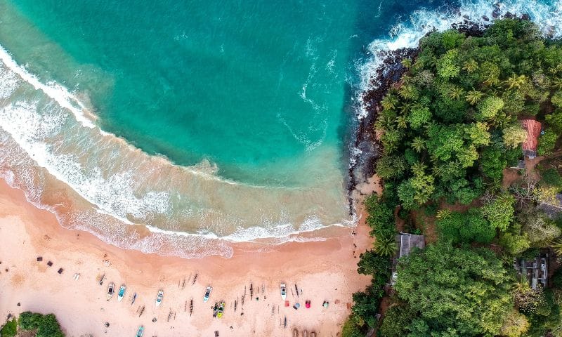 Easy Guide to Plan a Perfect Honeymoon in Sri Lanka