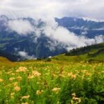 Top 6 Reasons to Visit Valley of Flowers National Park in the Uttarakhand Himalayas