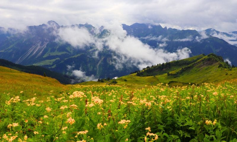 Top 6 Reasons to Visit Valley of Flowers National Park in the Uttarakhand Himalayas
