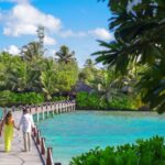 How to Plan a Luxury Honeymoon in India: A 2026 Expert Guide