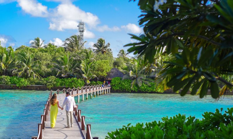 Luxury Honeymoon in India