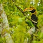 Top Activities to Enjoy In and Around Kaziranga National Park