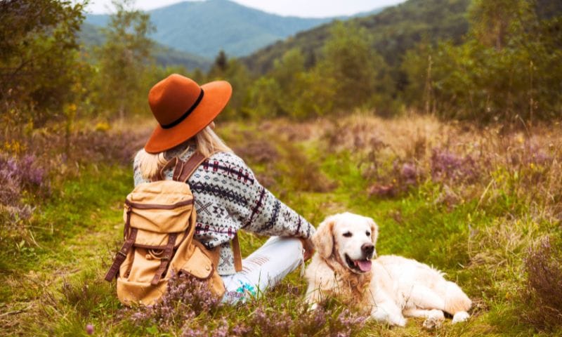 Traveling With Your Dog? Top Pet-Friendly Places in India for a Stress-Free Holiday