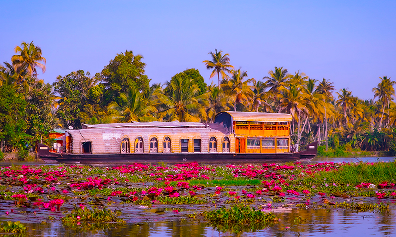 Mararikulam and Kumarakom City Information