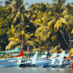 South India Experiences / Activities in Tamil Nadu, Kerala, Karnataka and Pondicherry