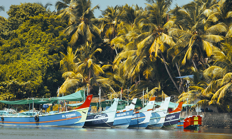 South India Experiences
