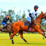 Top 20 Polo Destinations in India: A Player’s and Enthusiast’s Guide