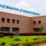 11 Must-Visit Museums in India for Wildlife Lovers
