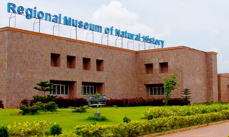 11 Must-Visit Museums in India for Wildlife Lovers