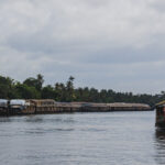 The Kerala Backwaters: 11 Things To Know Before You Visit