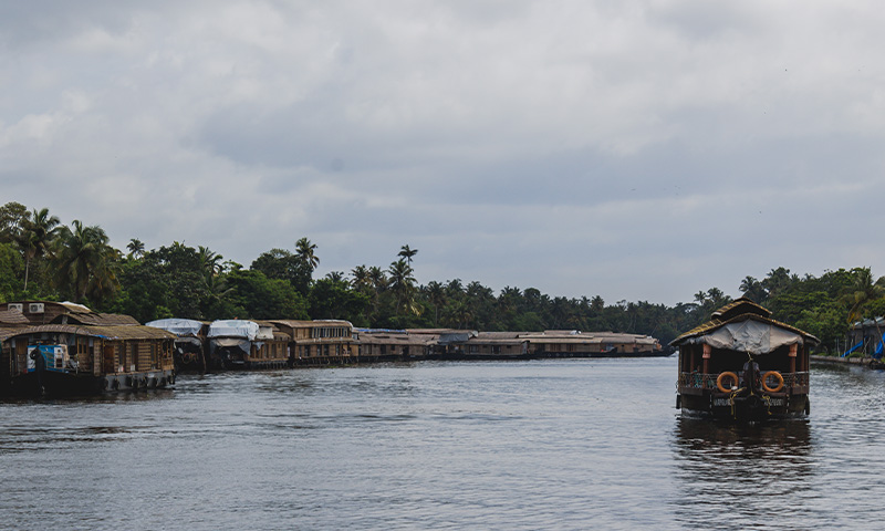 The Kerala Backwaters: 11 Things To Know Before You Visit