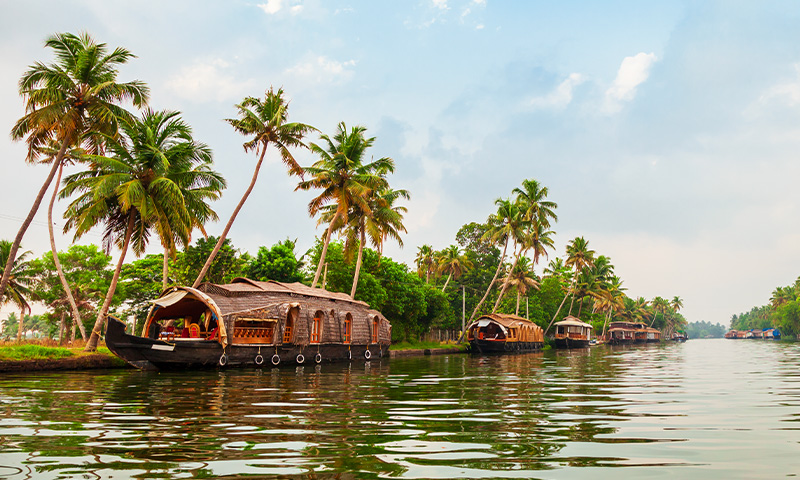 The Ultimate Kerala Itinerary: Travel Guide for 1 Week, 10 Days or 2 Weeks
