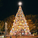 11 Best Places in India to Celebrate Christmas