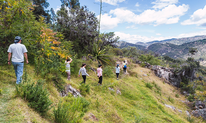 10 Best Places in North India for Corporate Outings to Recharge and Build Team Spirit