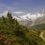 6 Reasons to Visit Chopta Valley in the Himalayas